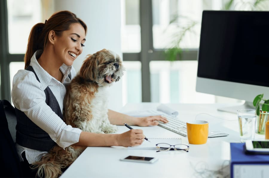 Bring Your Dog To Work Day 2023