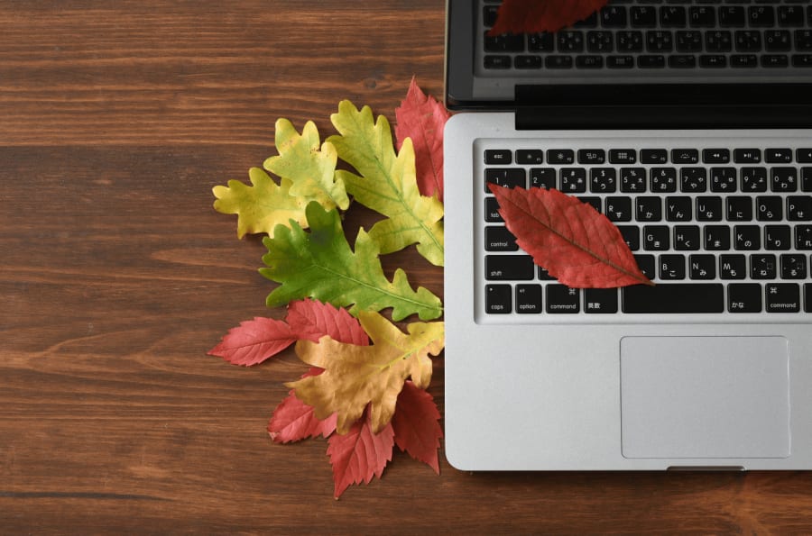 Take A Leaf Out Of Autumn’s Book! Simple Strategies To Incorporate Into Working Lives