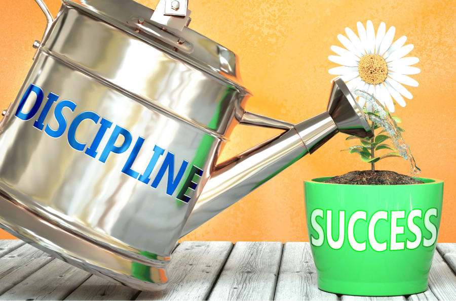 Discipline Awareness For Your Career