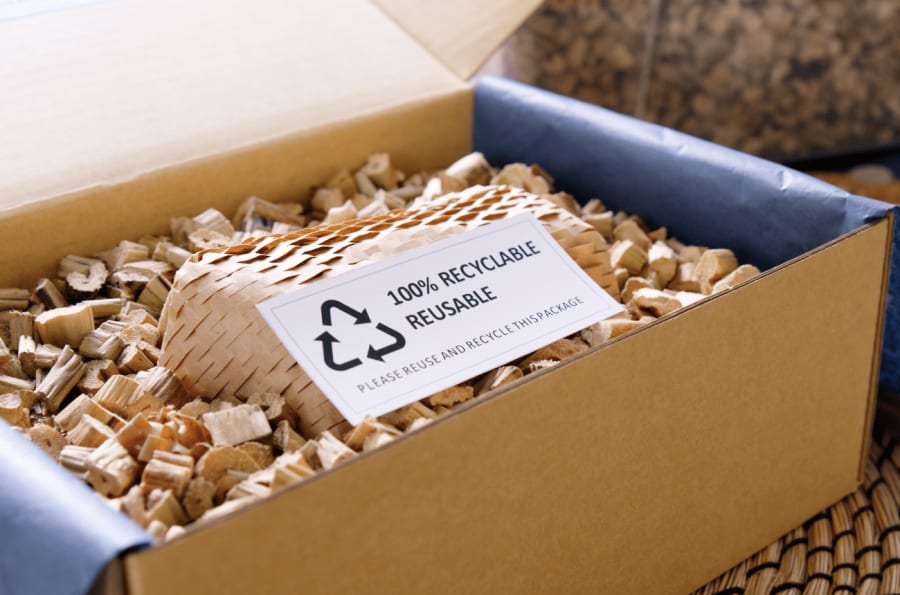 Becoming A Sustainable Entrepreneur