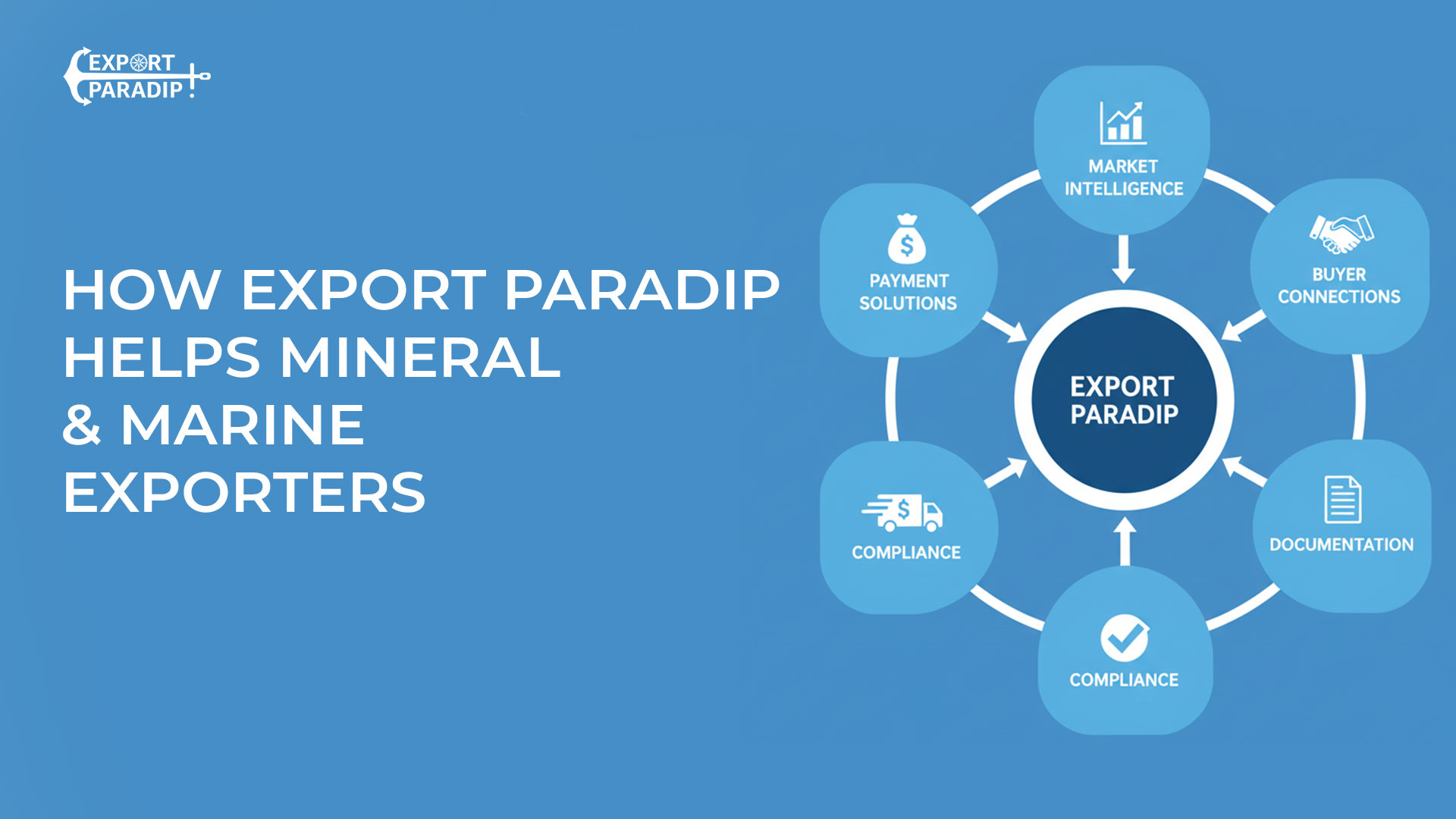 How Export Paradip Helps Mineral & Marine Exporters