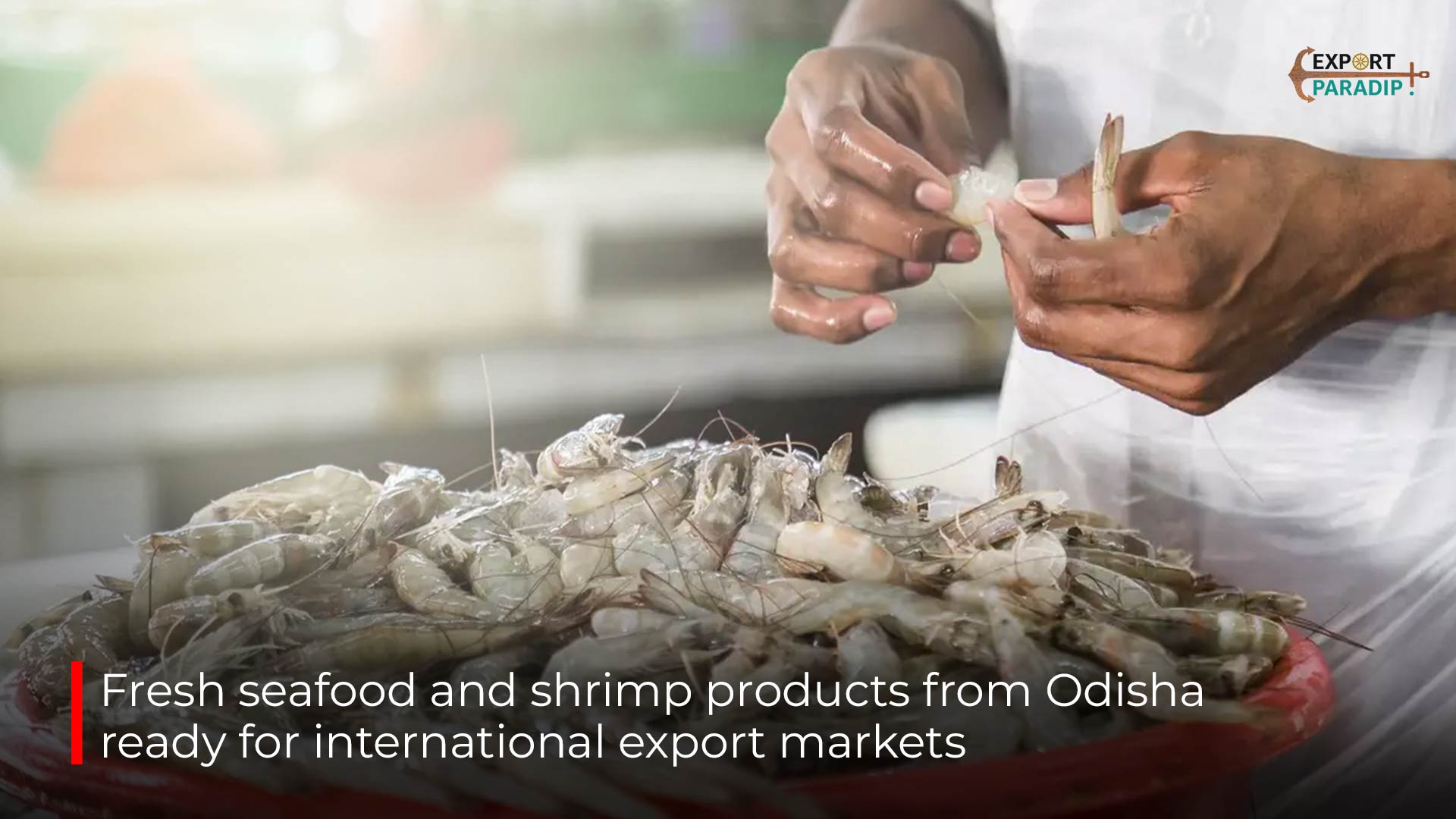 Fresh seafood  & shrimp products from Odisha ready for international export markets