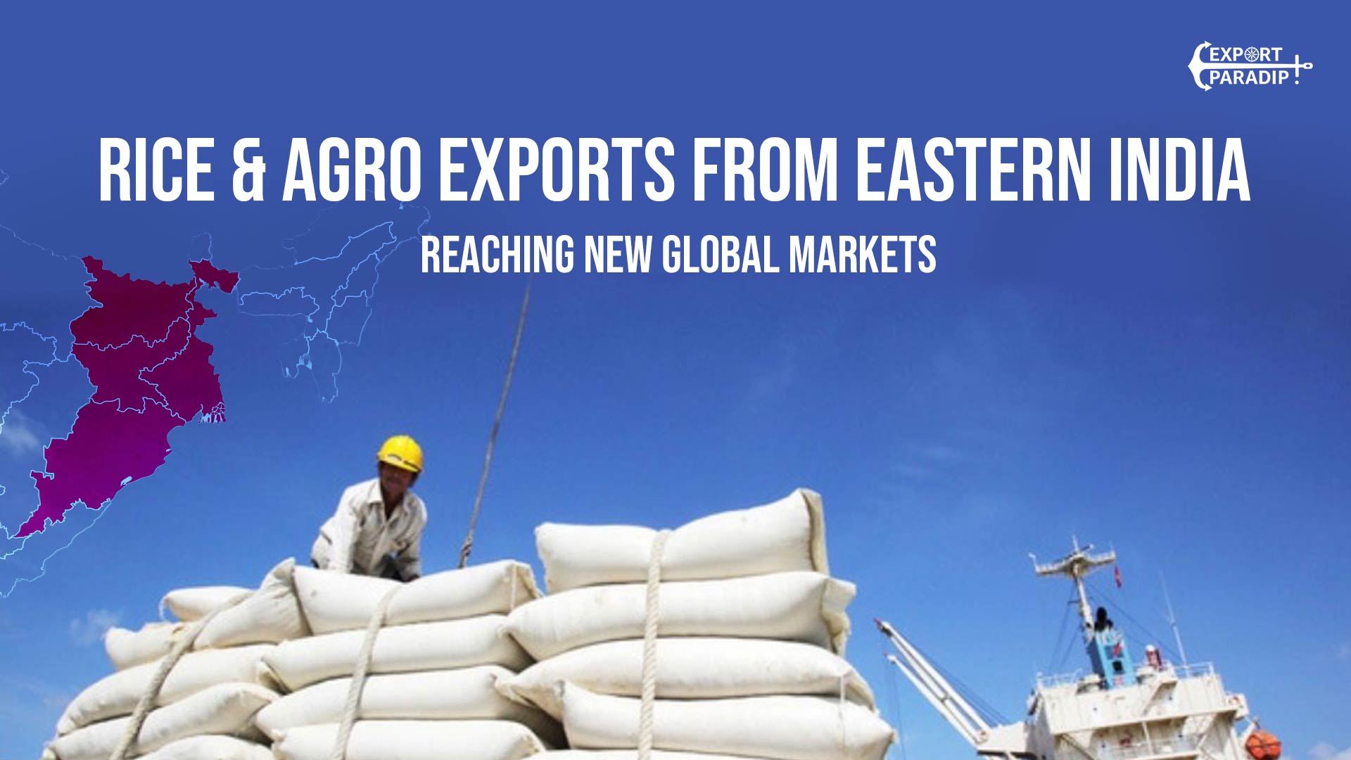 Export Paradip – Your Partner at Every Step of the Export Journey