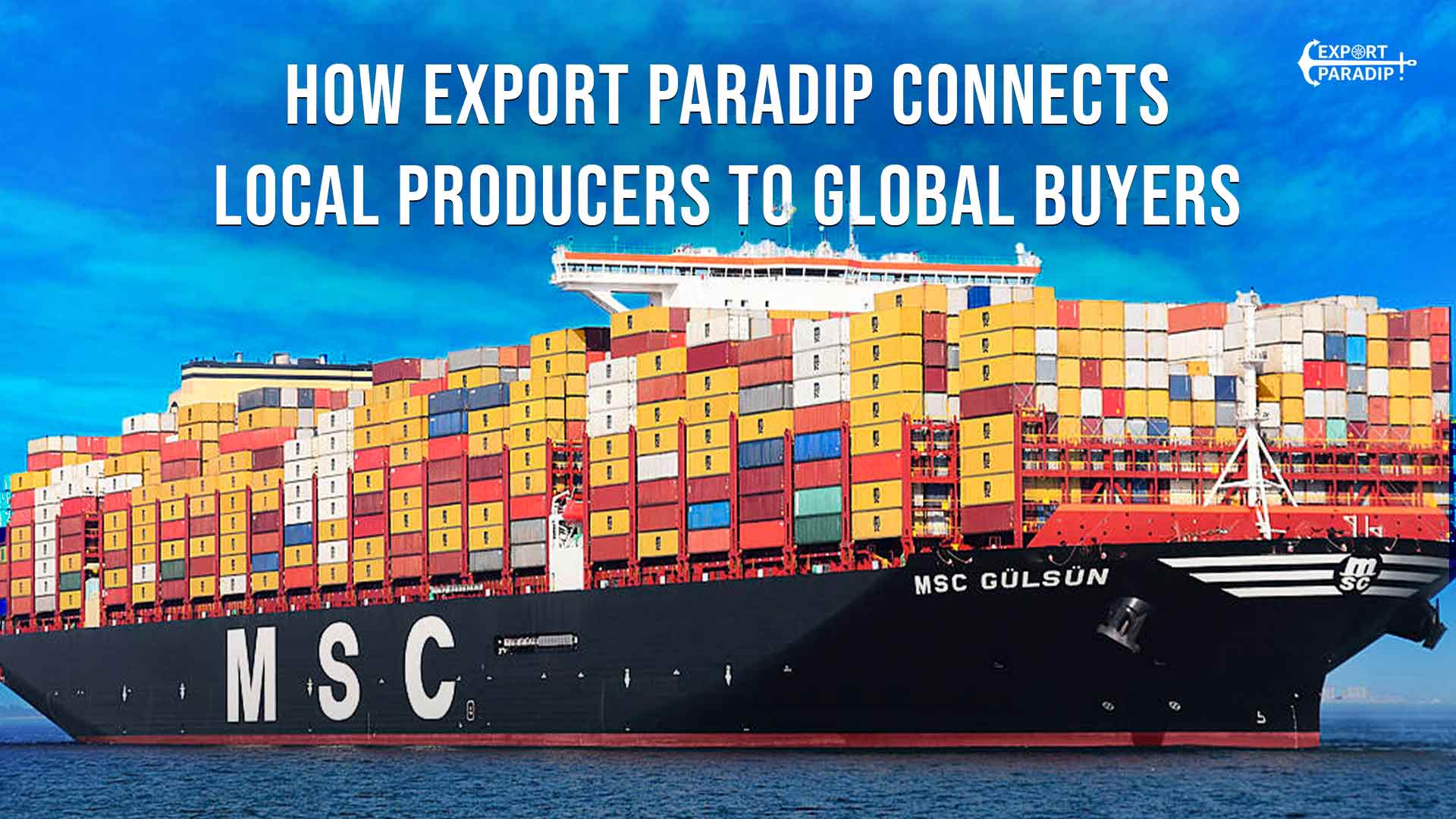 How Export Paradip Connects Local Producers to Global Buyers
