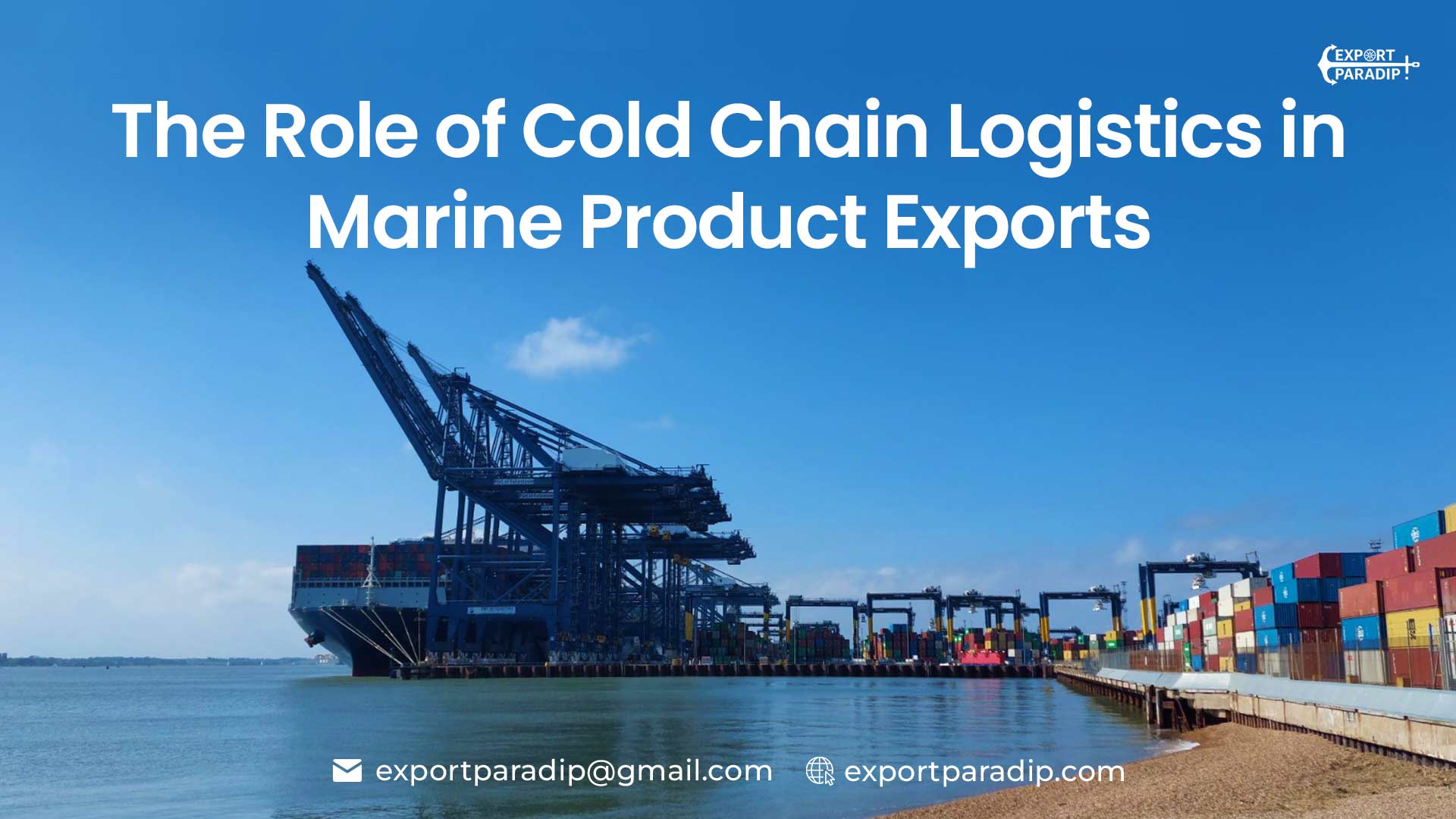 The Role of Cold Chain Logistics in Marine Product Exports