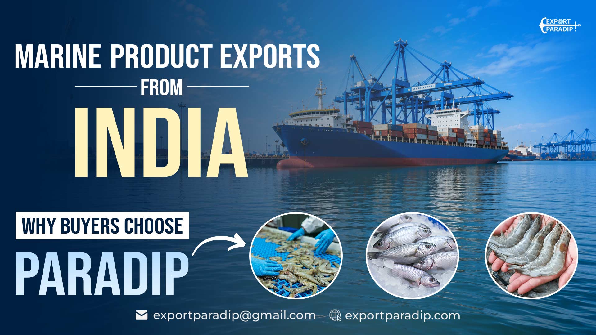 Marine Product Exports from India: Why Buyers Choose Paradip