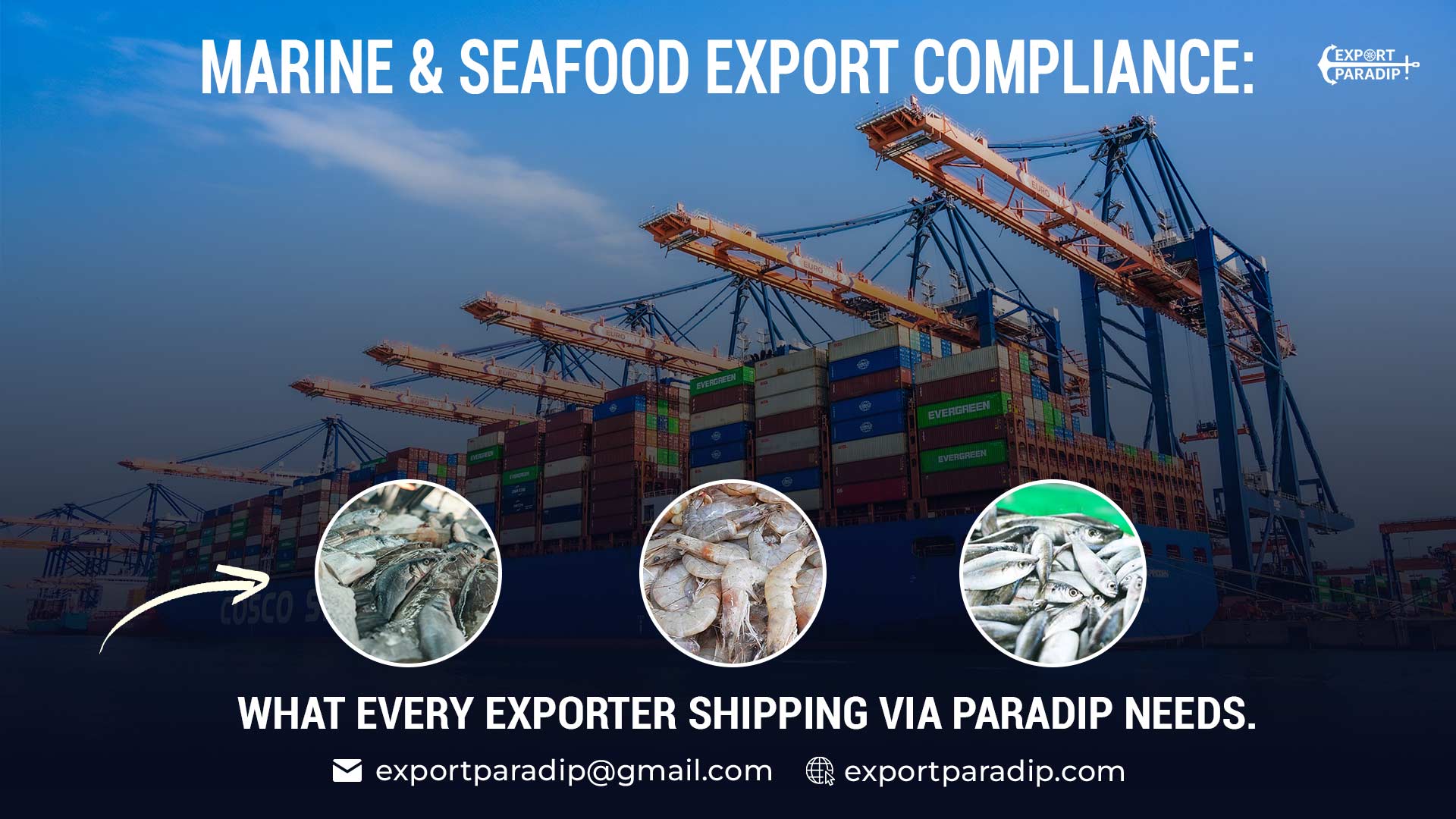 Marine & Seafood Export Compliance: What Every Exporter Shipping via Paradip Needs