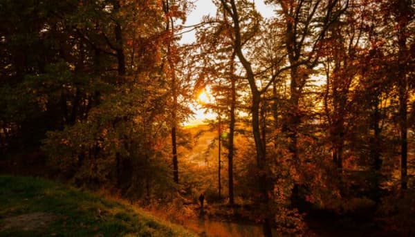 5 leuke herfstactiviteiten! - Natuur in Nederland