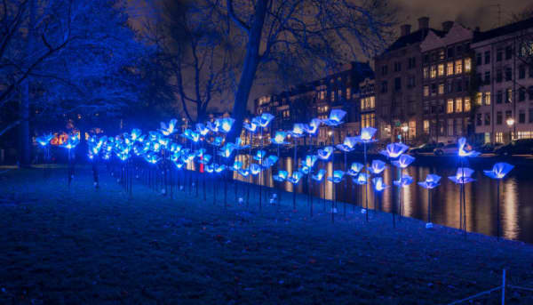 Amsterdam Light Festival 2026 - Entertainment in Nederland