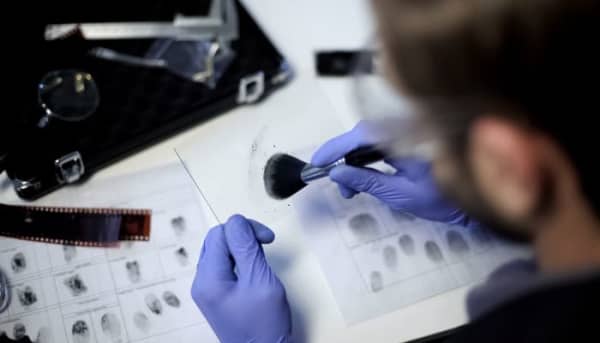 Alles over de studie Criminologie