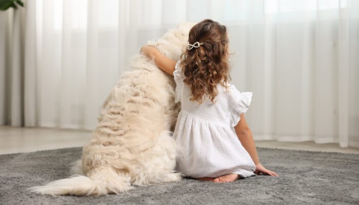 How are animals honored worldwide? - Vergelijkbare activiteit in Dieren