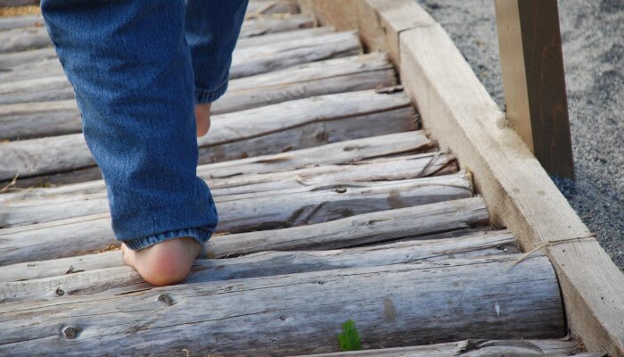 The most fun barefoot trails in the Netherlands - Vergelijkbare activiteit in Natuur