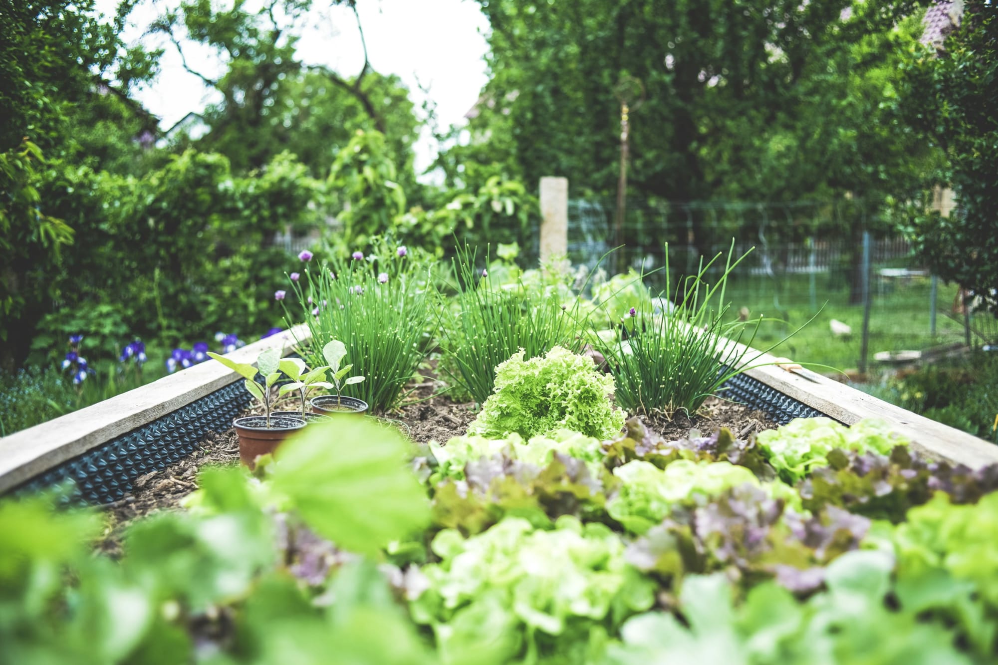 Podcasts about gardening - Vergelijkbare activiteit in Doe het zelf