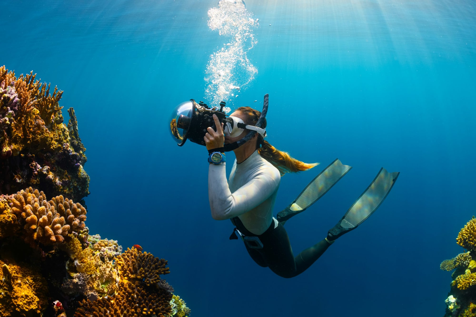 Dive into the depths: your guide to learning scuba diving - Nederland | Sport - Findmino