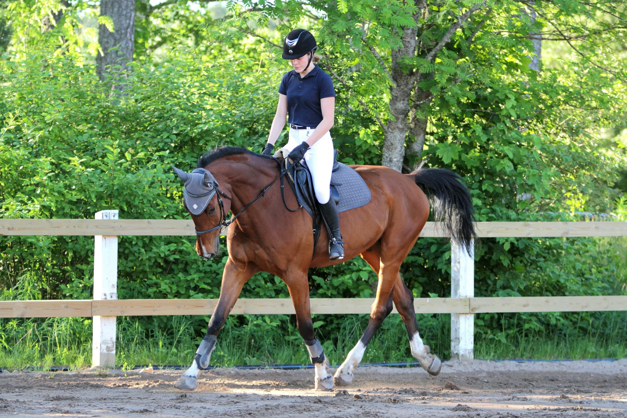 Horse riding for beginners: your first step in the saddle! - Sport in Nederland