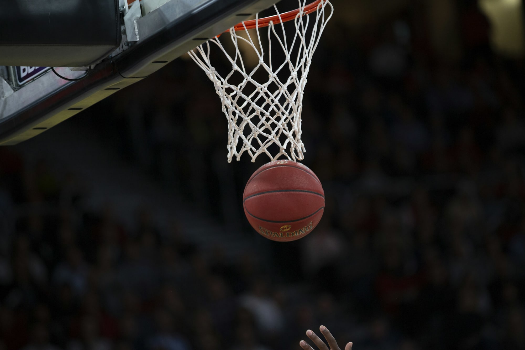 The magic of basketball: an introduction to the sport - Sport in Nederland