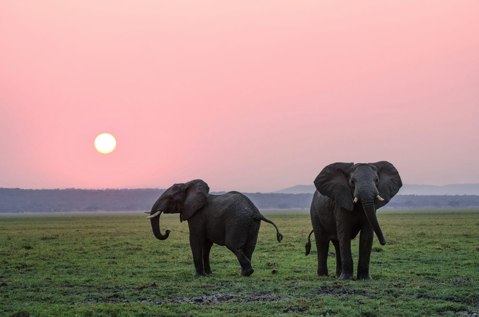 Adventurous wildlife travel: discover nature! - Vakanties in Nederland
