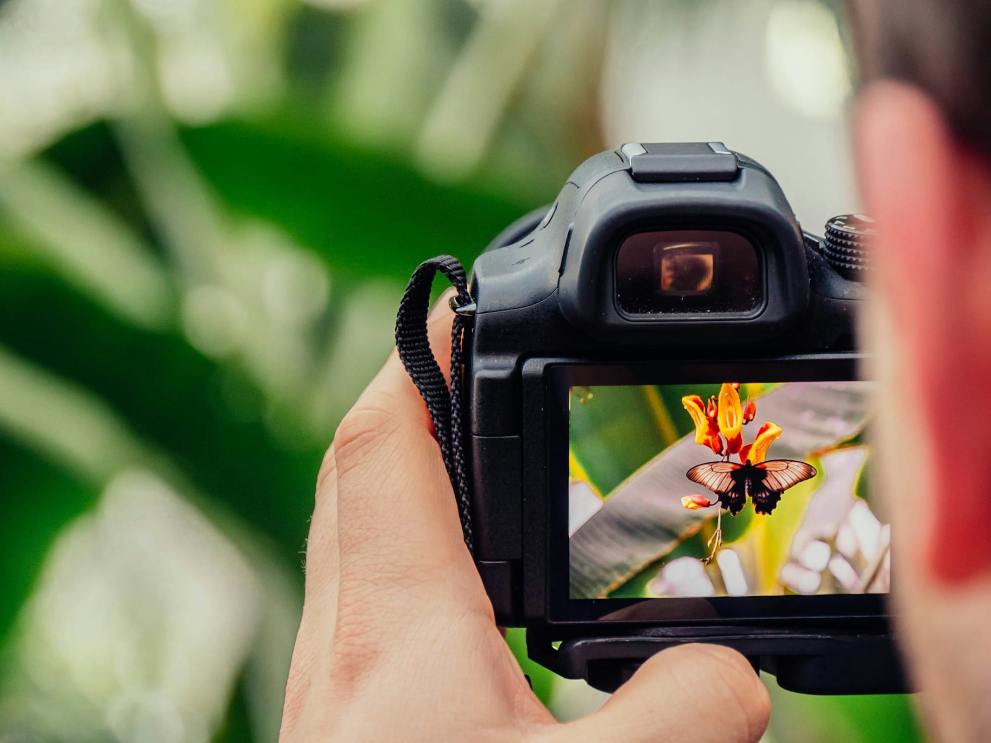 Getting started with photography: your beginner's guide - Creatief in Nederland