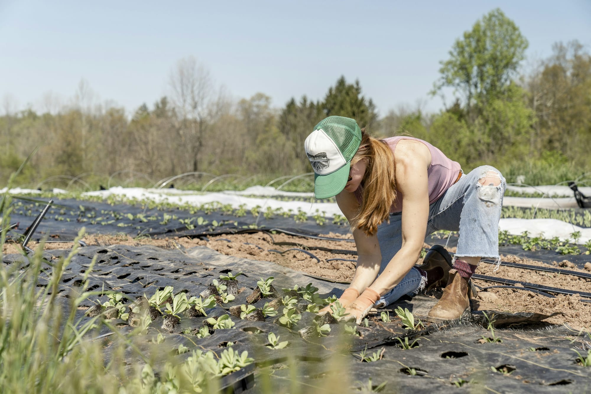 Gardening on Social Media - Doe het zelf in Nederland