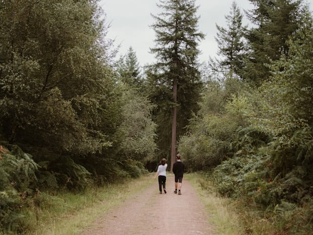 NS-wandeling: combine hiking with the train - Nederland | Natuur - Findmino