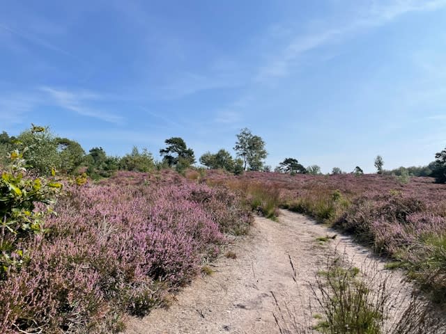 Fun places in the Netherlands for a weekend getaway - FF weg in Nederland