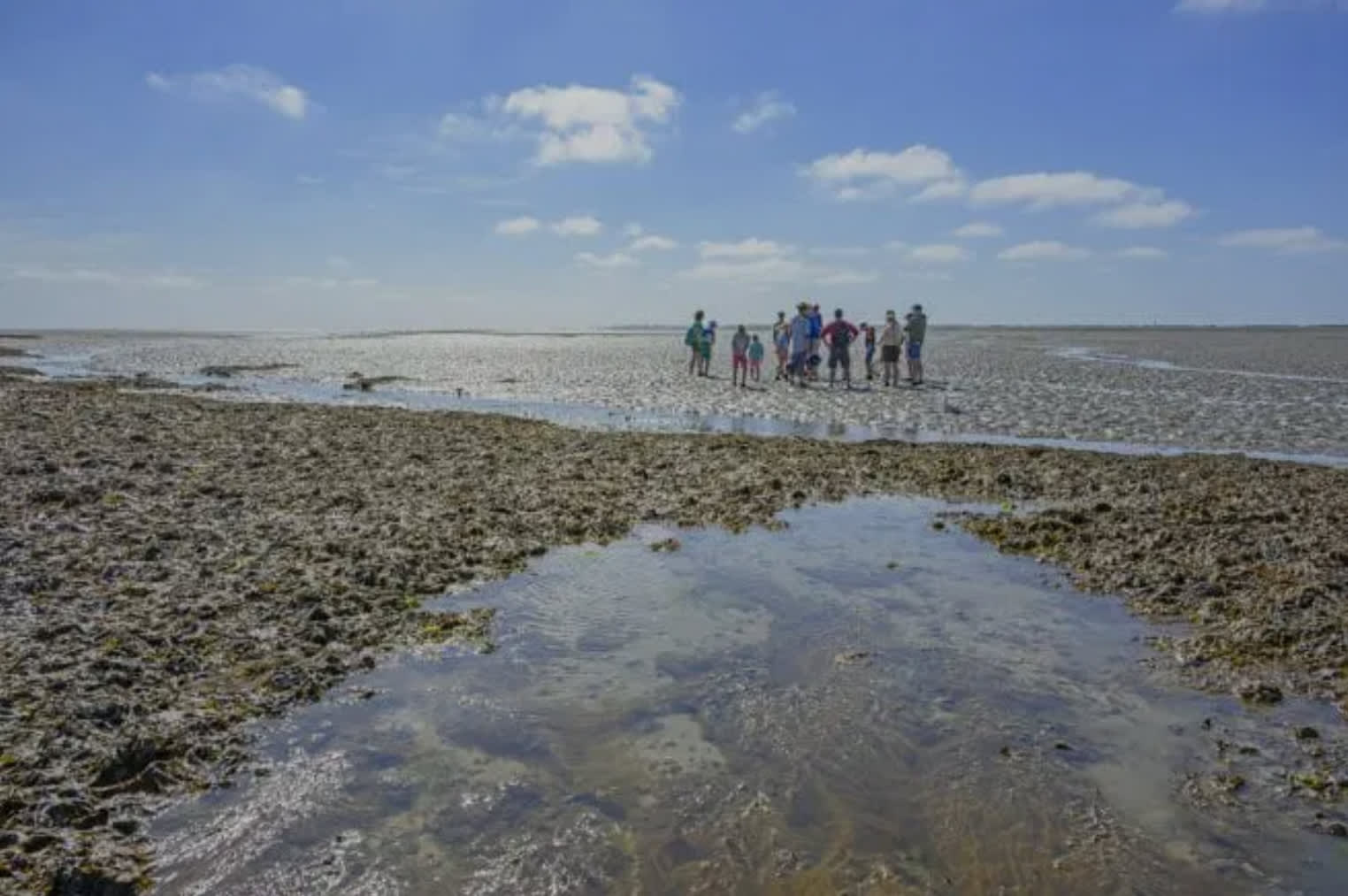 Mudflat Hiking: An adventurous journey of discovery on the mudflats! - Vergelijkbare activiteit in FF weg