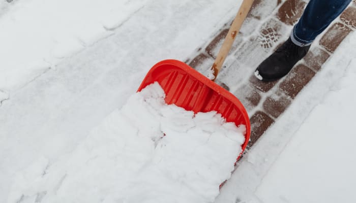 Netherlands under the snow - Vergelijkbare activiteit in Entertainment