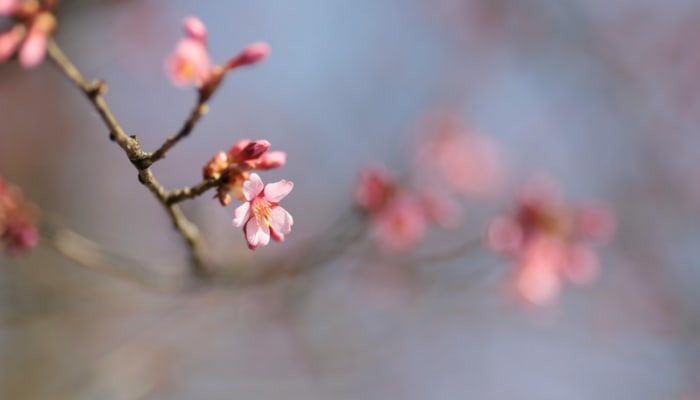 20 activities during spring weather - Nederland | Natuur - Findmino