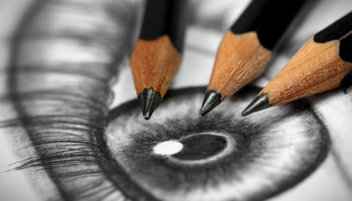 Relaxing with colors, something for you? - Vergelijkbare activiteit in Creatief