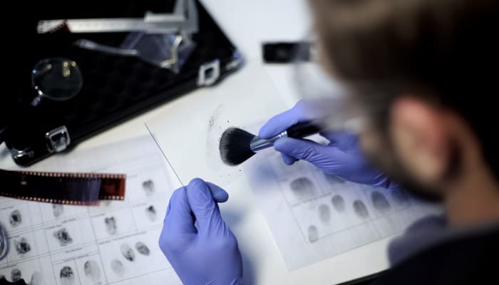 Alles over de studie Criminologie - Nederland | Studeren - Findmino