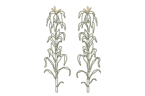 Dowload free Corn plant elevation autocad block. Autocad block make by Be Interior Designer for block free download