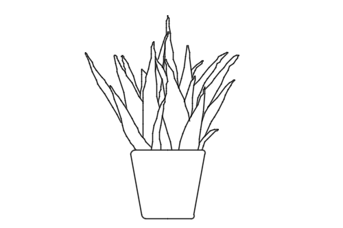 Dowload free Aloe vera plant XS elevation autocad block. Autocad block make by Be Interior Designer for block free download