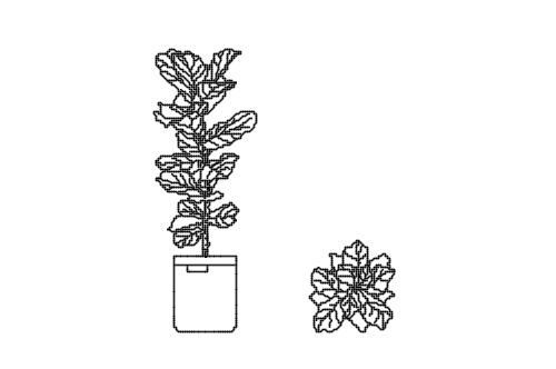Dowload free Fiddle leaf fig elevation and plan autocad block. Autocad block make by Be Interior Designer for block free download