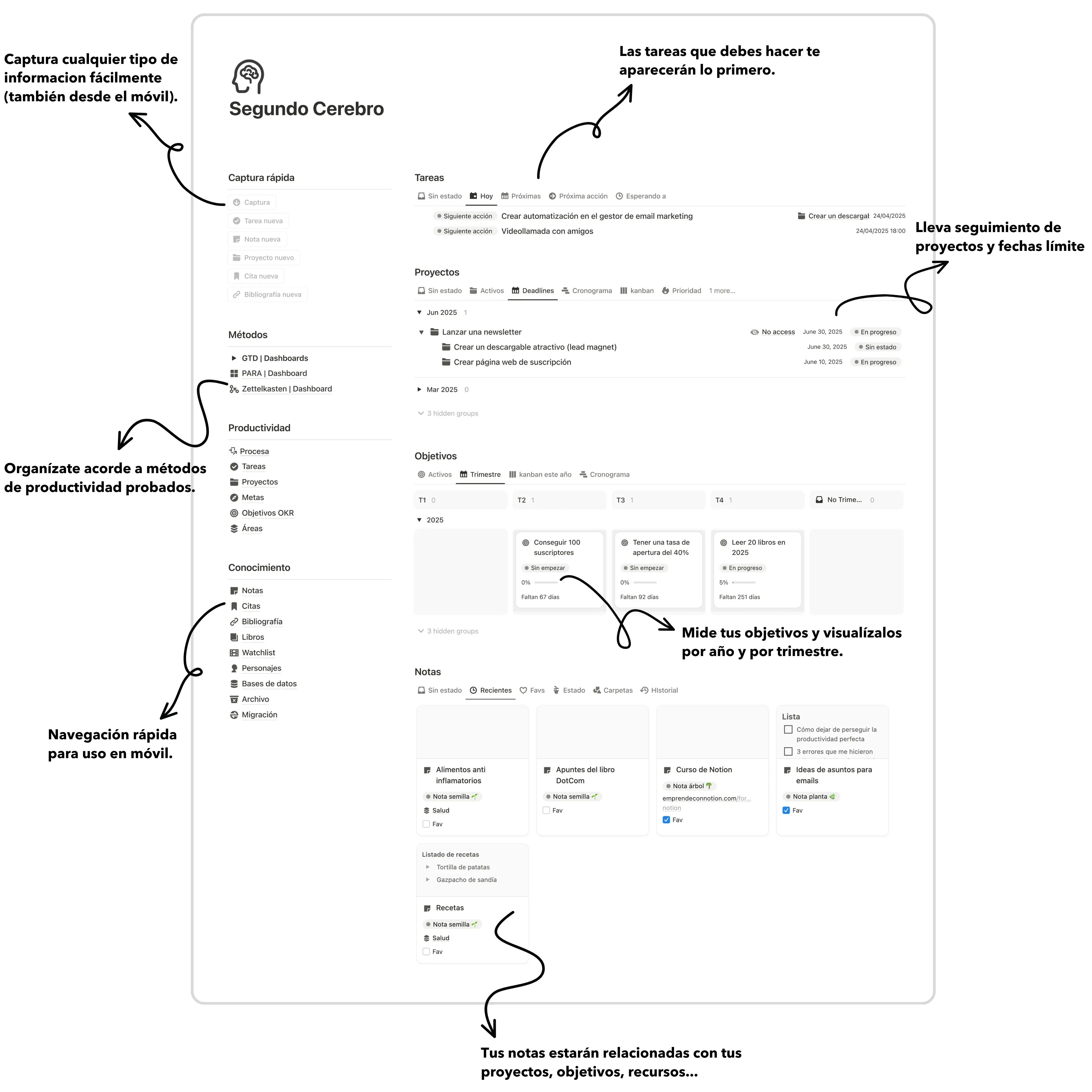 Esquema de toda la plantilla del segundo cerebro donde se va indicadnado con flechas cada parte que es.