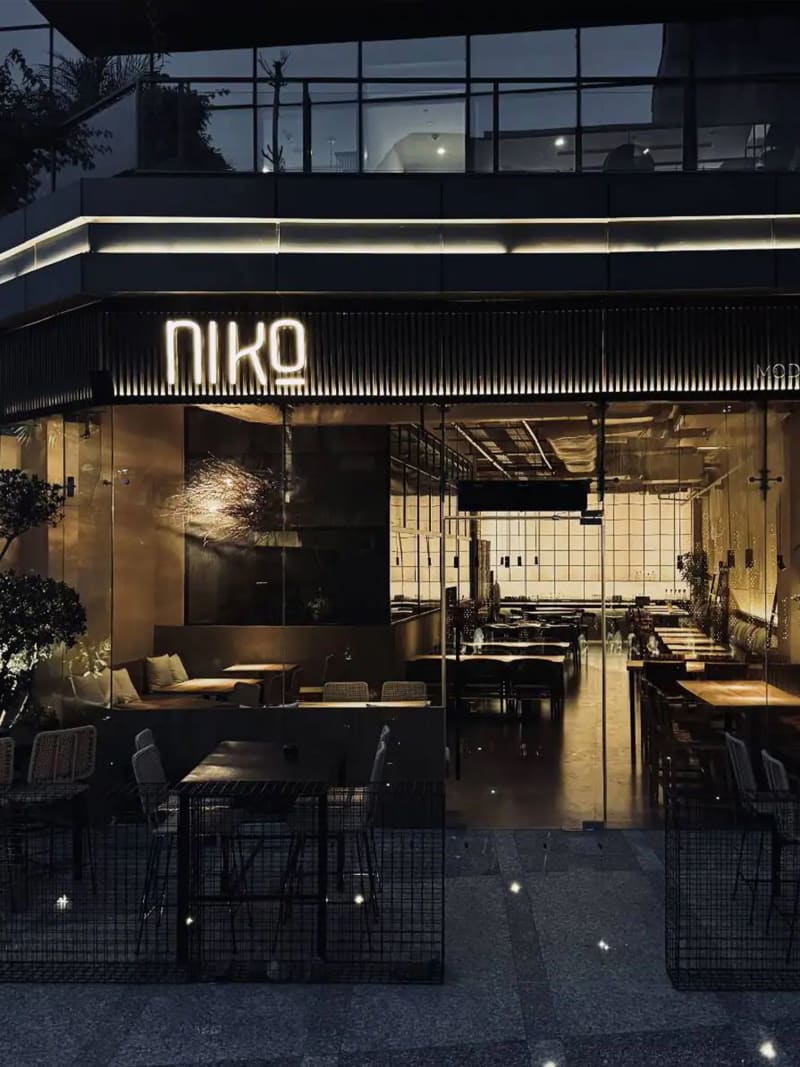 Niko — photo 3