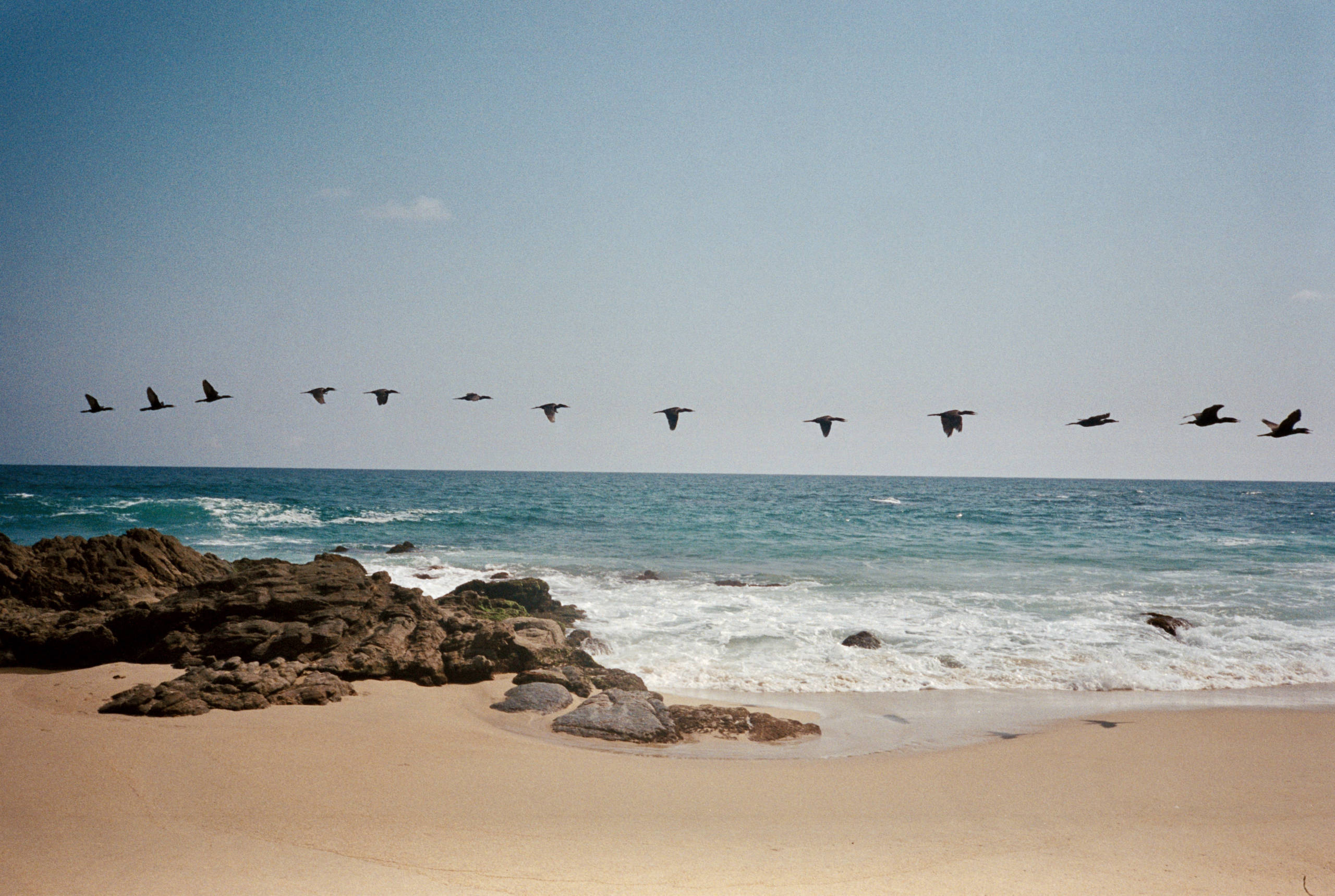 Photo by Joshua Lawrence