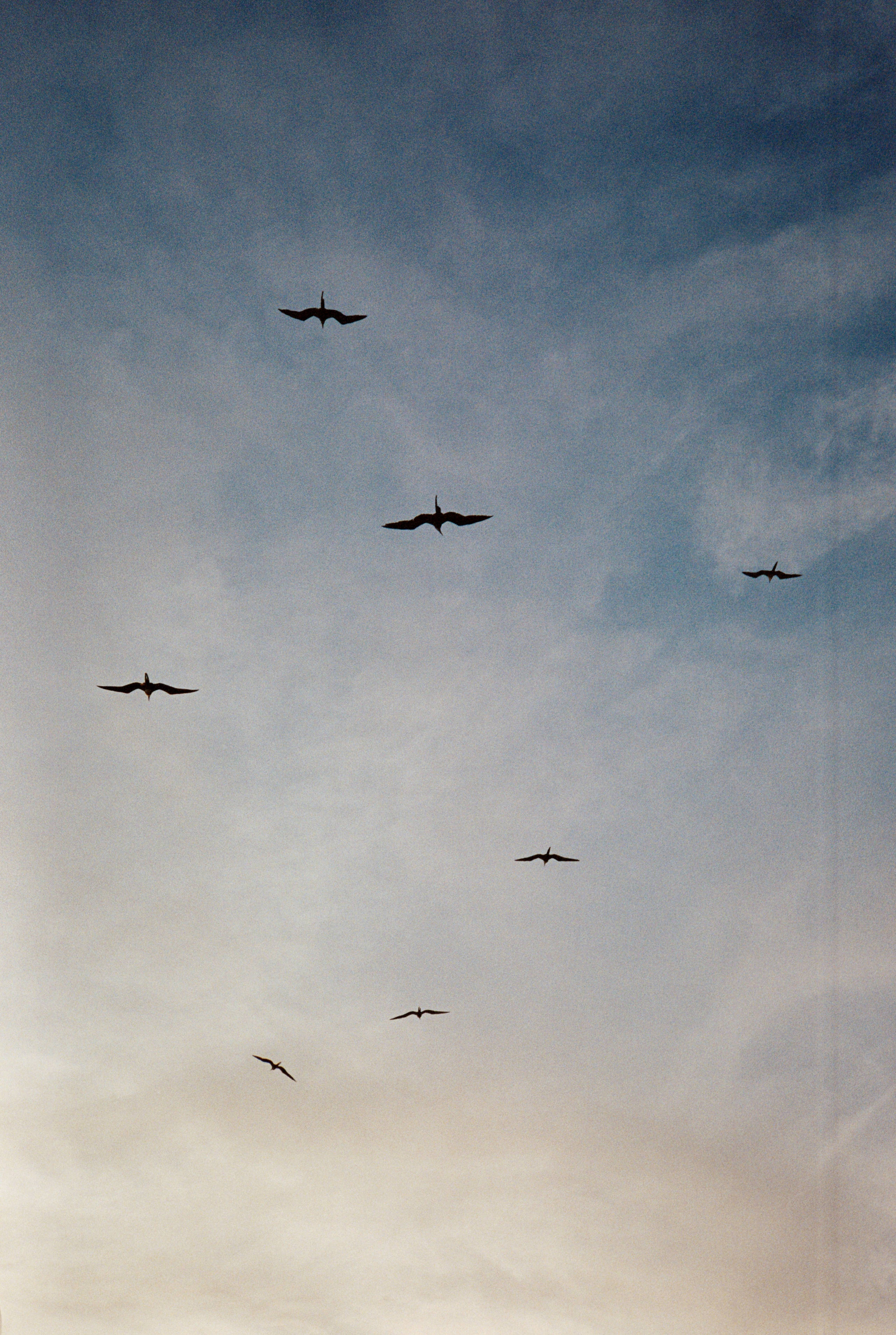 Photo by Joshua Lawrence