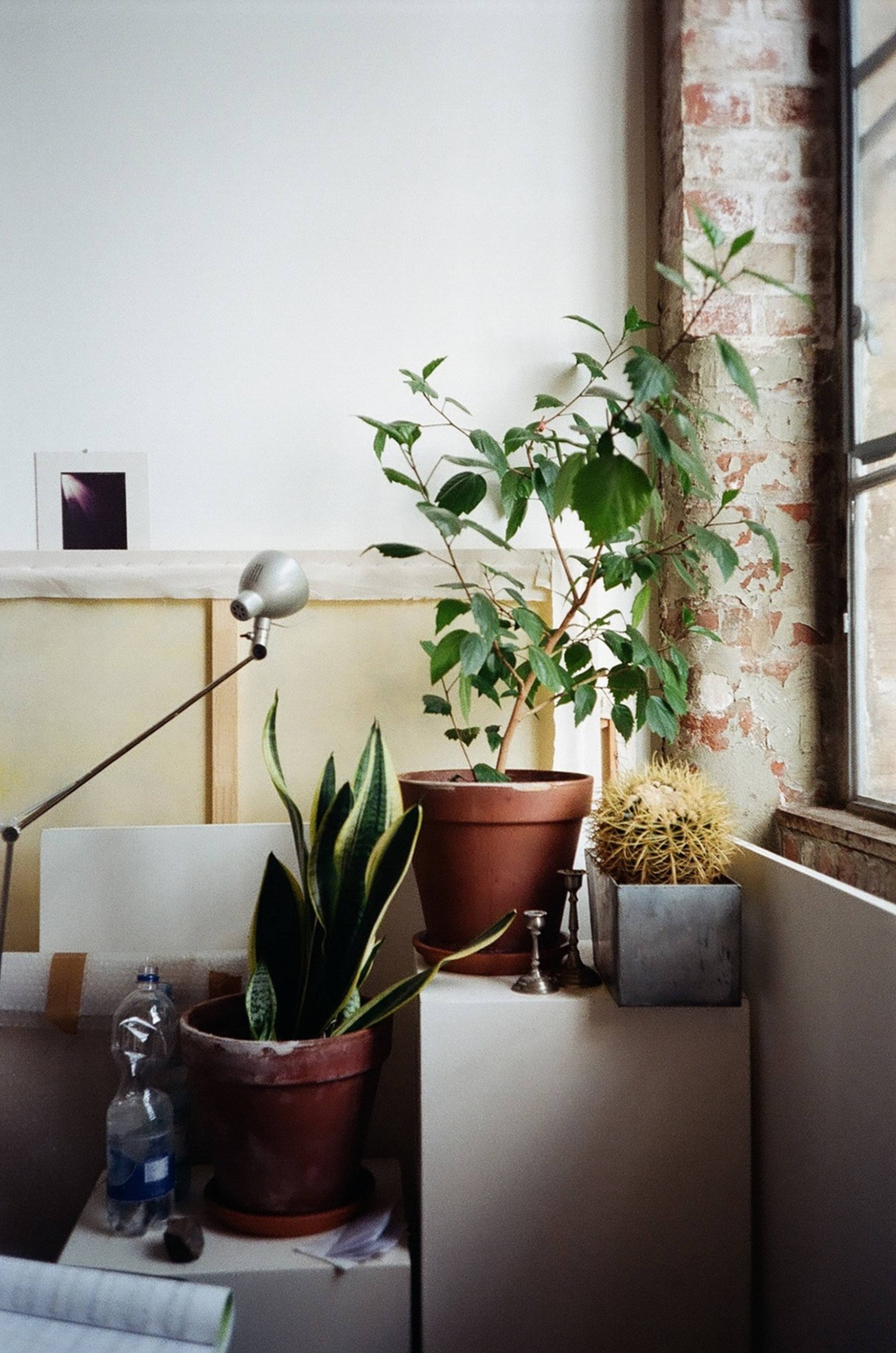 Photo by Marlen Mueller