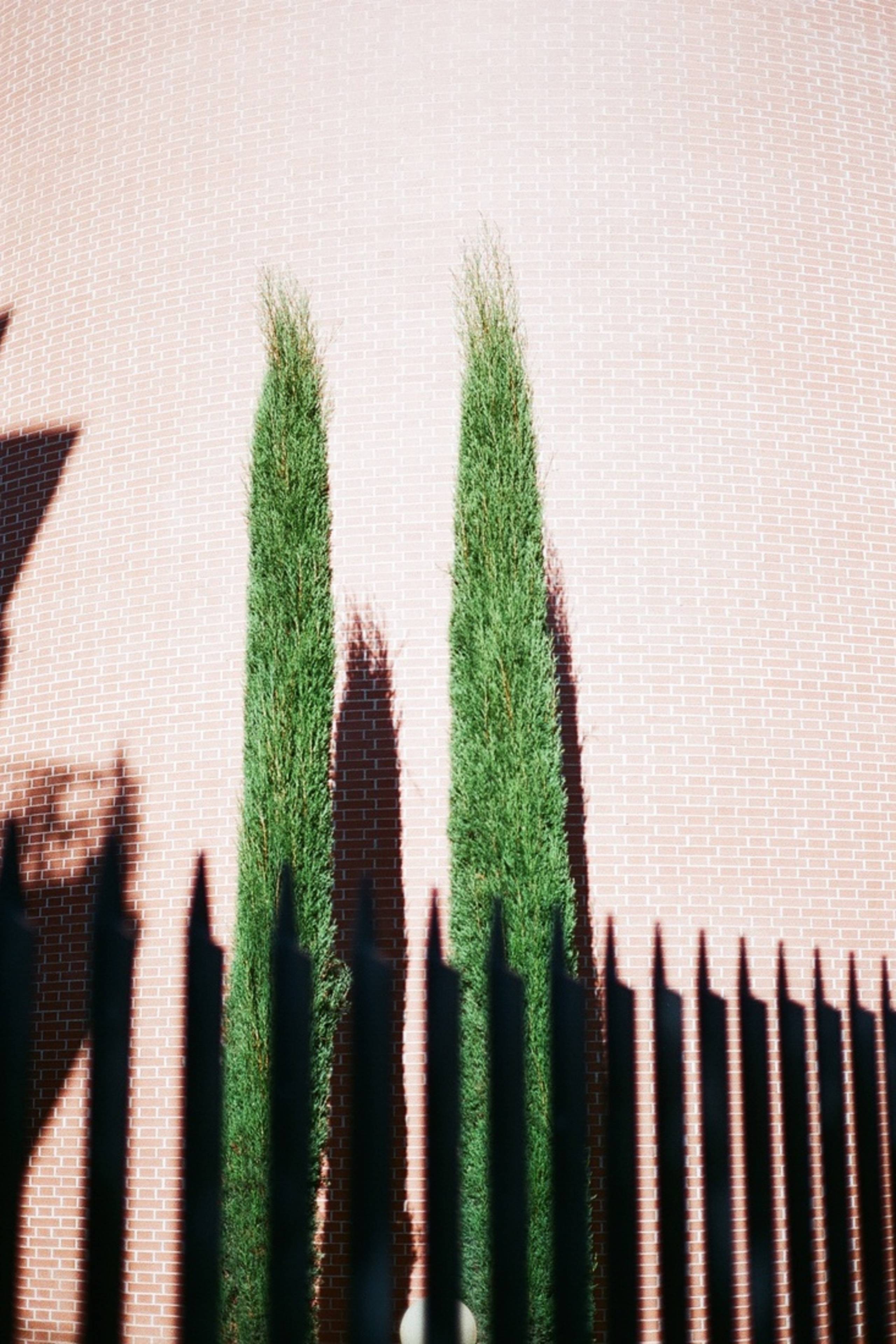 Photo by Marlen Mueller