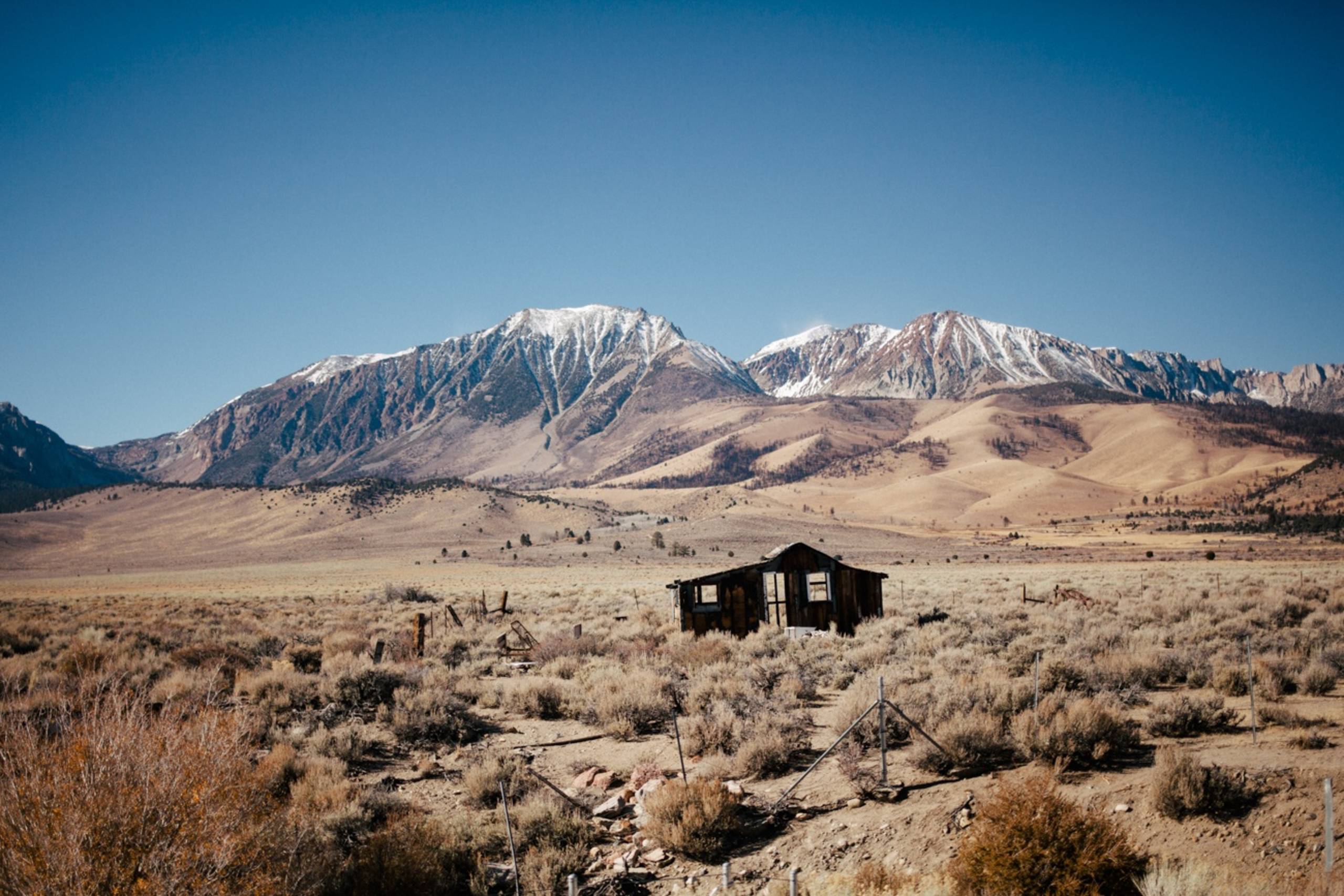 Photo by Marlen Mueller