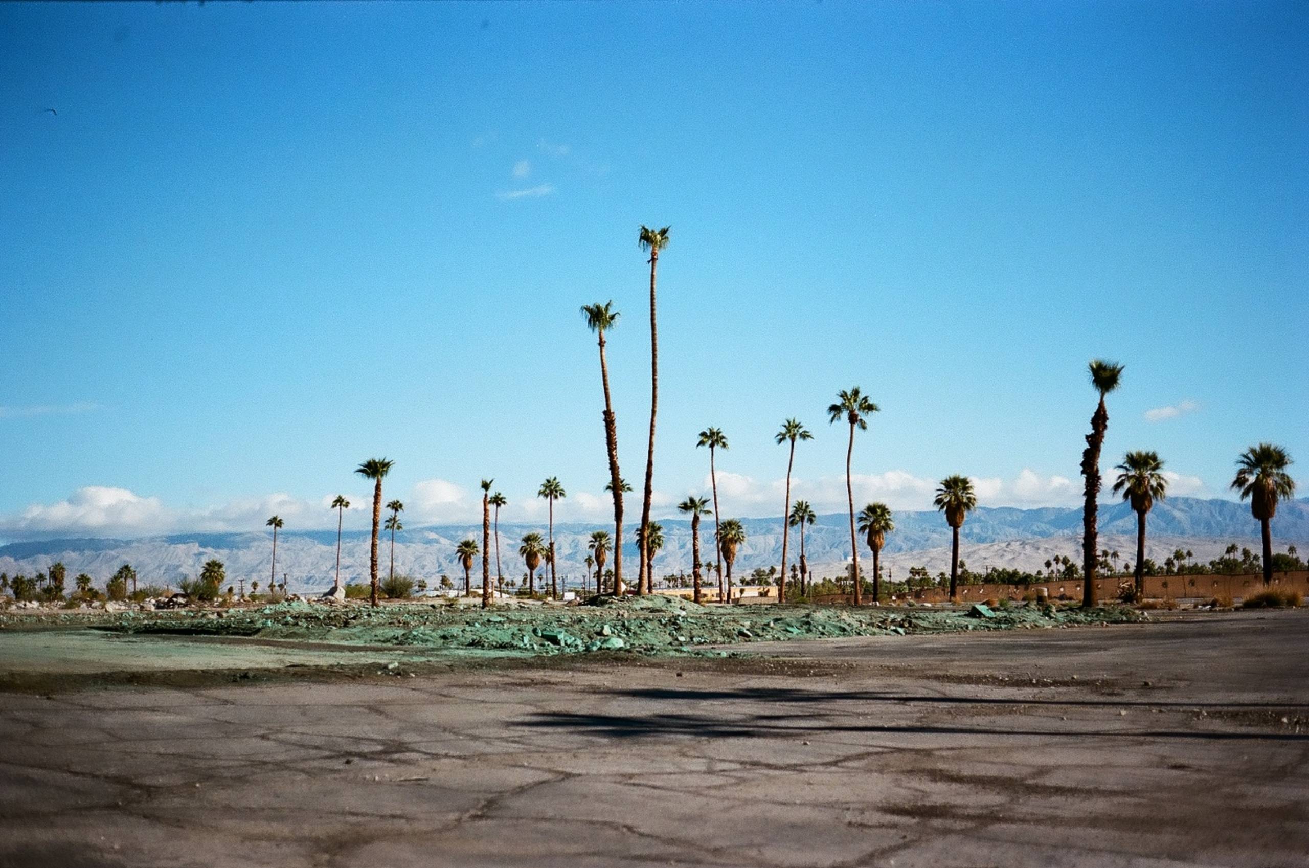 Photo by Marlen Mueller