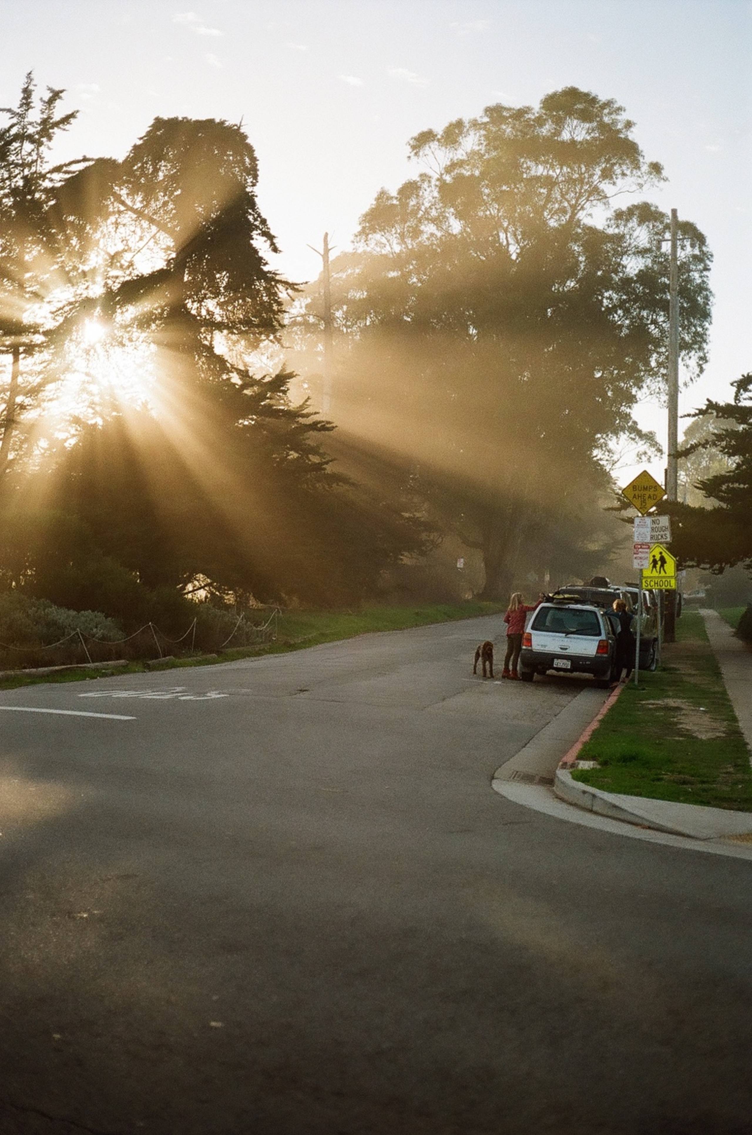 Photo by Marlen Mueller