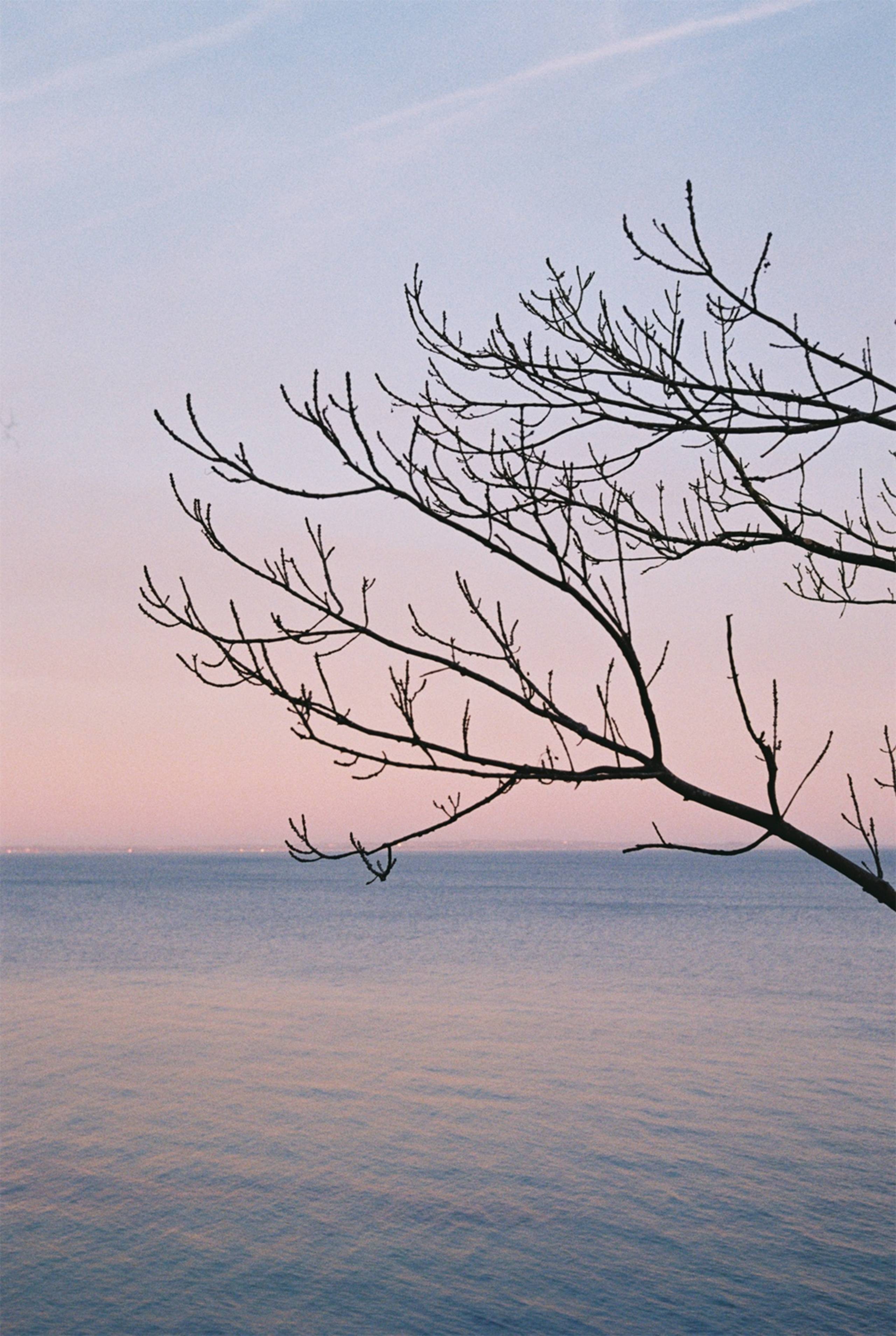 Photo by Marlen Mueller