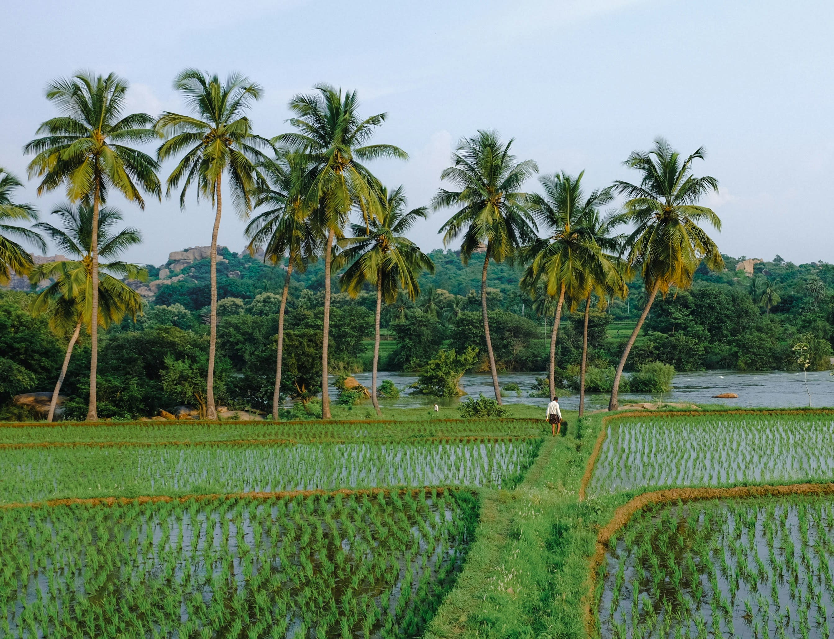 Empowering the next generation.