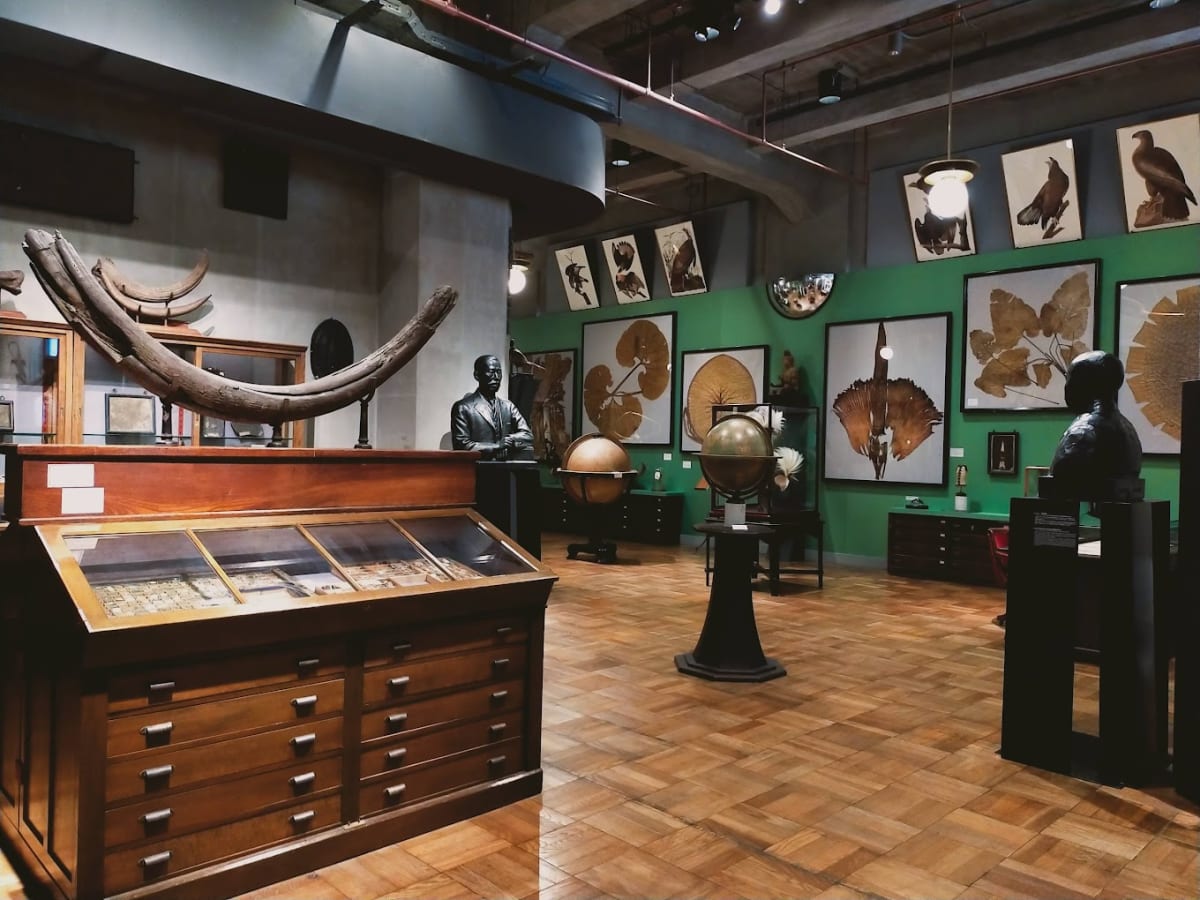 INTERMEDIATHEQUE