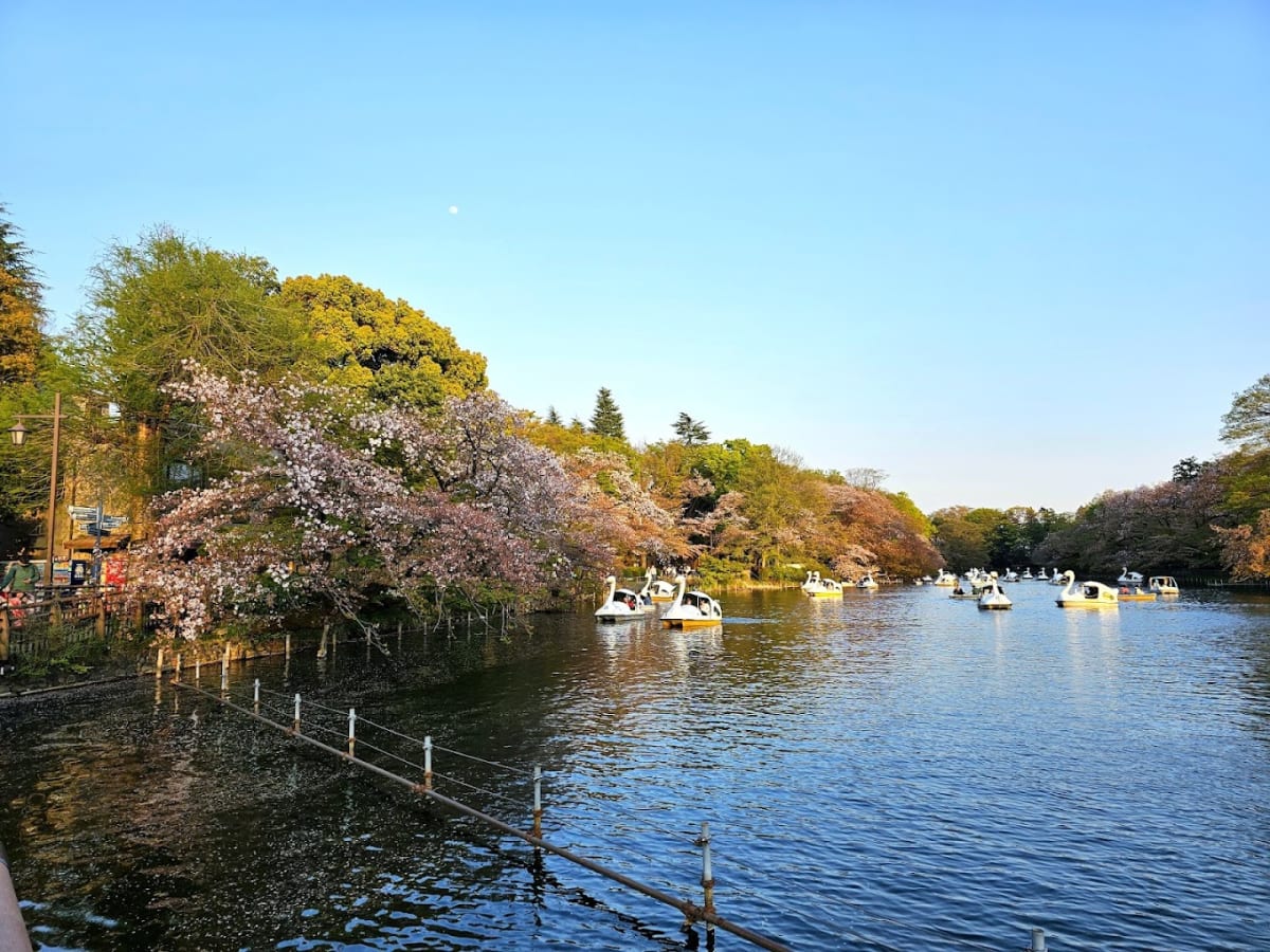 Inokashira Park