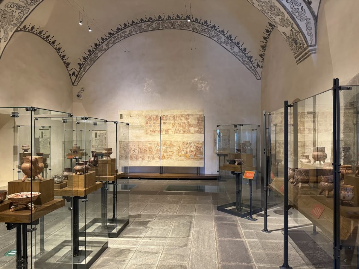 Private tour: Museo de las Culturas de Oaxaca with local guide - Image 1