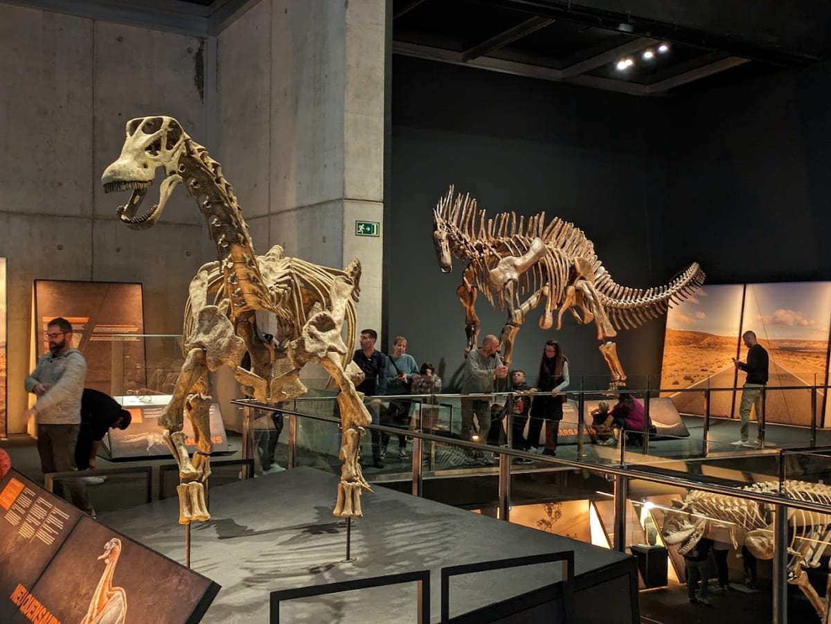 Private tour: CosmoCaixa Museum of Science with local guide - Image 1