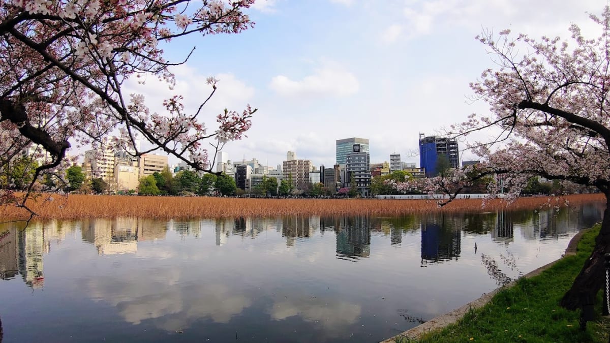 Private tour: Ueno Park with local guide - Image 1