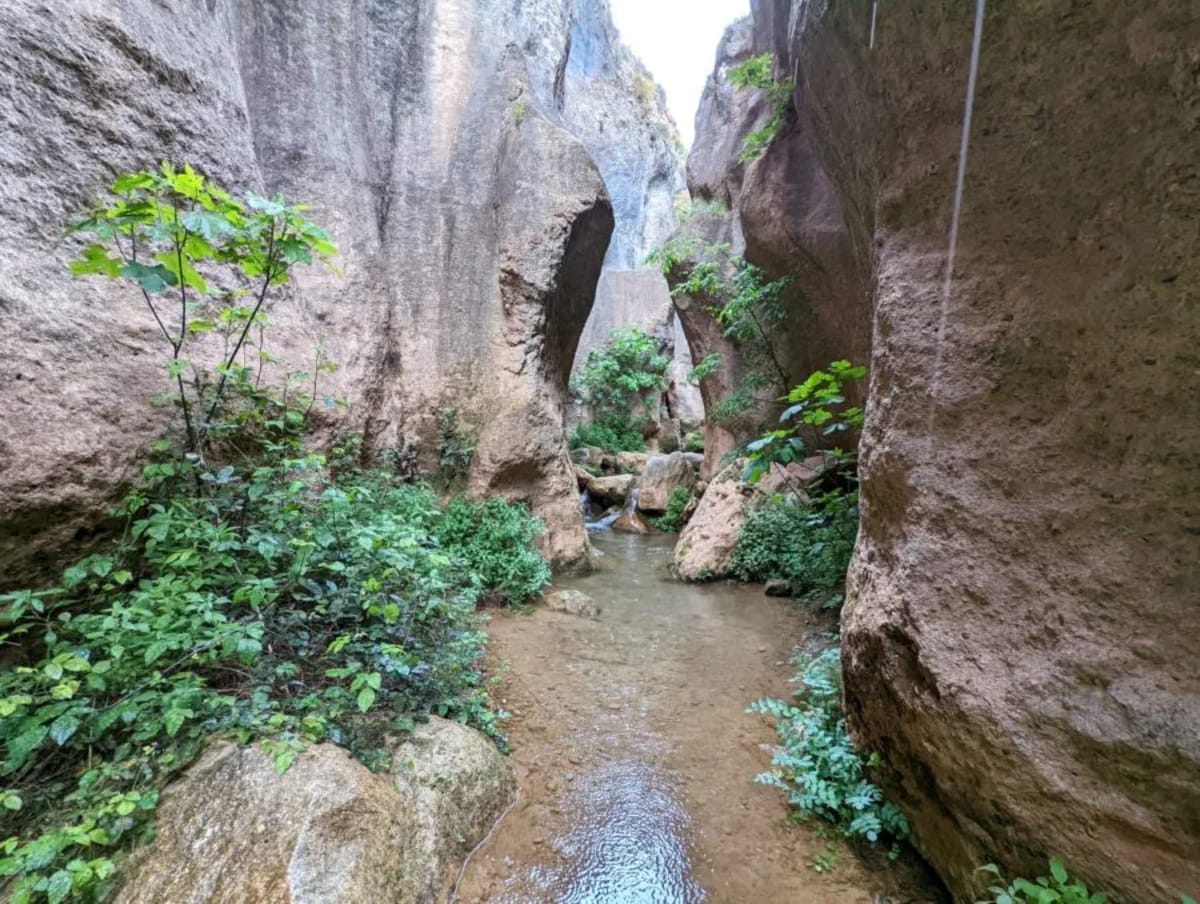 Private tour: Ruta de Barranco de la Luna with local guide - Image 1